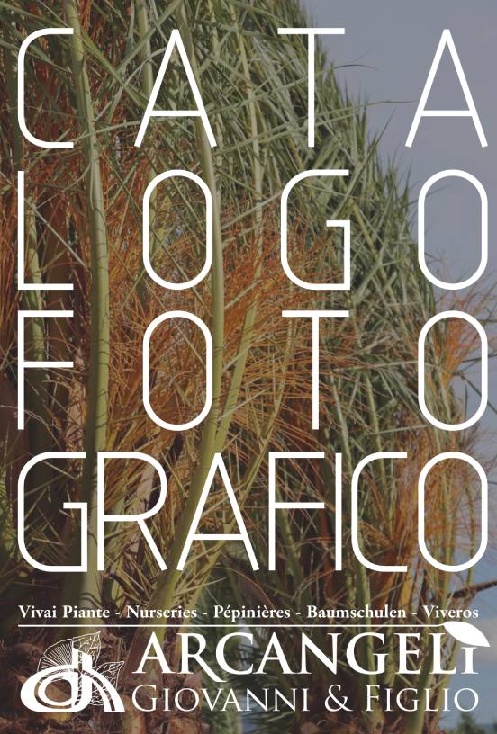 Copertina del catalogo fotografico del vivaio Arcangeli